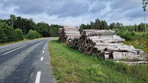 Puiduvirn Kalas seisab juba aastast 2023.